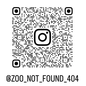 Instagram QR